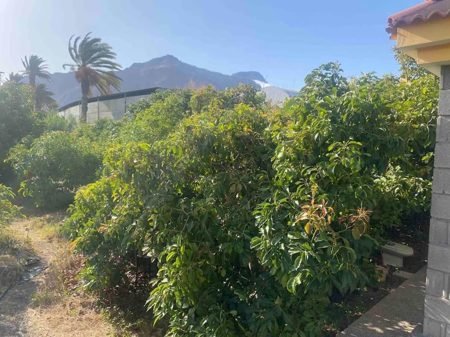 Casita Lily Holiday home *